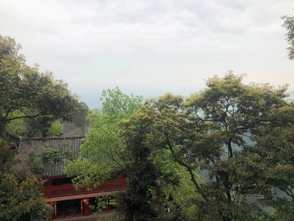 金山律師分析刑訊逼供罪的構成要件包括哪些
