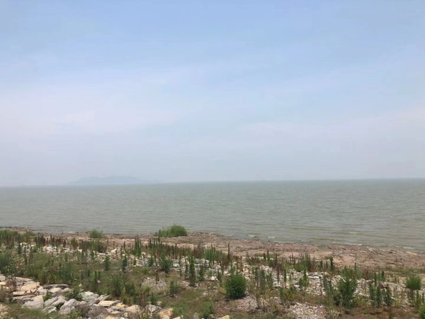 在酒店進行賣淫嫖娼構成什么罪？寶山刑事律師為您講解