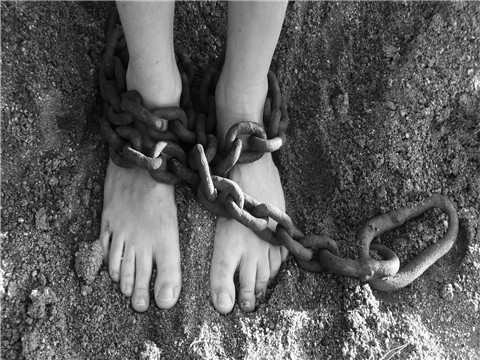 在上海找一個便宜點(diǎn)的懂刑事法律的律師
